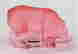 item-52804200=2
