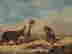 item-52804223=2