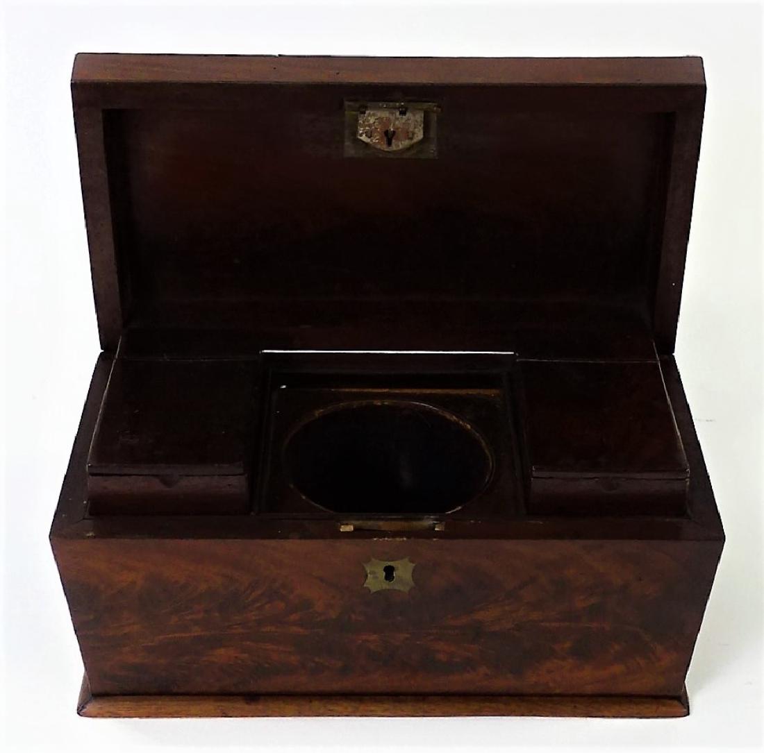 ANTIQUE ENGLISH HAND CARVED HUMIDOR (1 of 5)