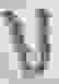item-54126489=2