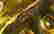 item-54924847=4