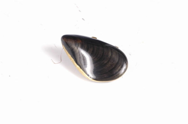 CUZI 18K Gold Enamel Sea Mussel Pill Box Pillbox