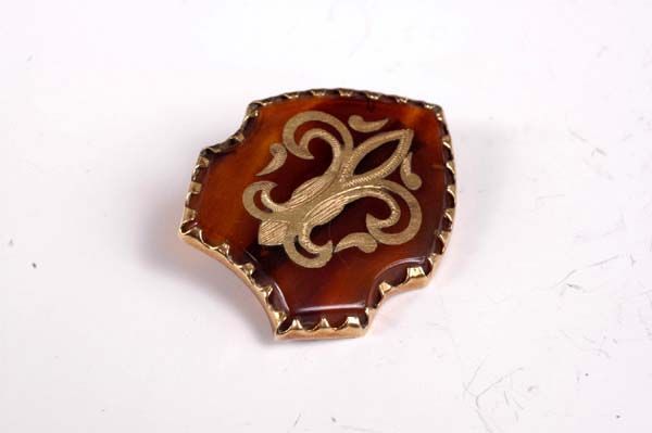 18kt Gold and Tortoise Shell Pin