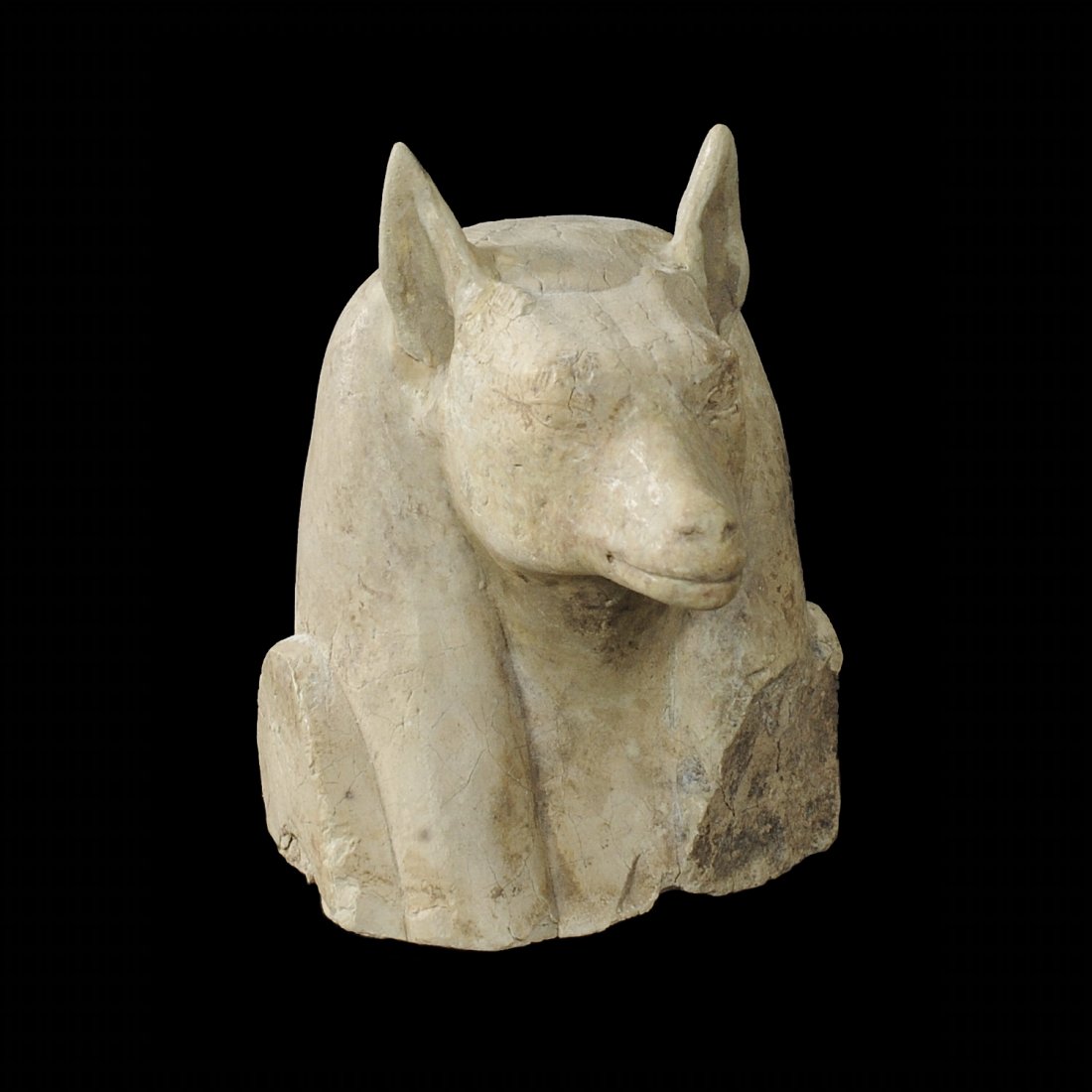 ANCIENT EGYPTIAN STONE BUST OF ANUBIS: Depicting the head of the jackal-headed god Anubis, associated with mummification and the afterlife in ancient Egyptian religion, he also attended the weighing scale during which the weighing of the h