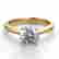 item-70291343=1
