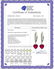 Genuine 3.2 ctw Ruby & Diamond Earrings 14KT White Gold - 2