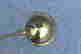item-58057454=2