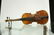 Vintage TIGER MAPLE BACK Violin - 2
