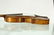 Vintage TIGER MAPLE BACK Violin - 4