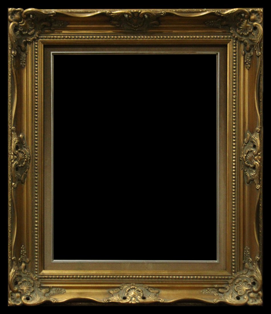 PICTURE FRAME 16 x 20
