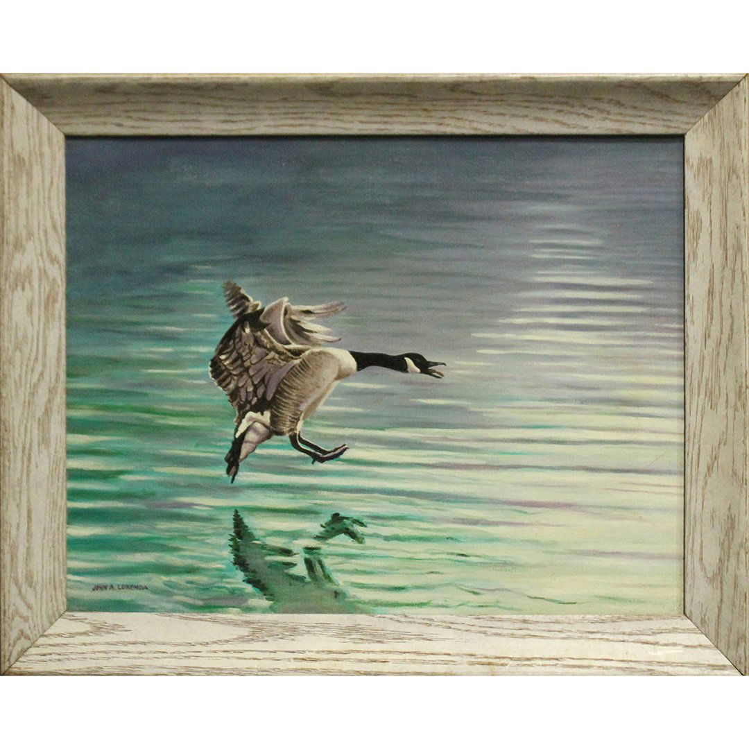 John A Lukenda, Oil/c, Canadian Goose in Flight (1 of 3)