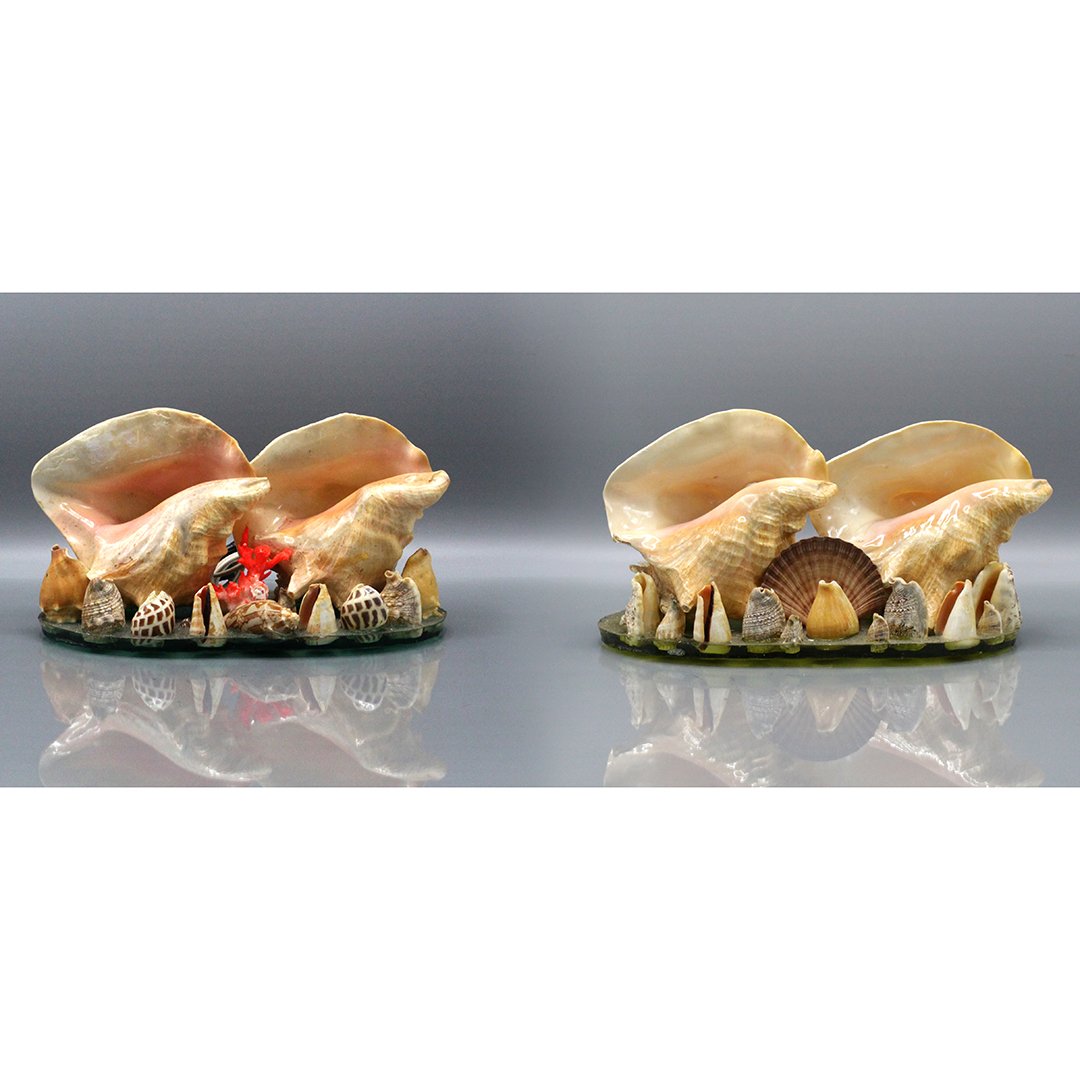 Two [2] Sea Shell Night Lights, Various Shells and Size (1 of 8)