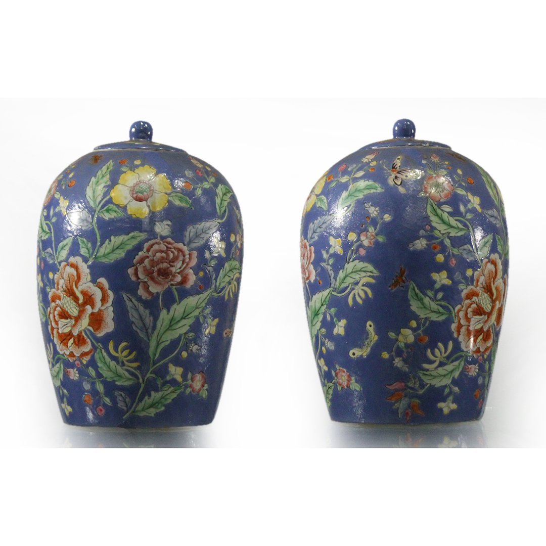 Two Chinese Porcelain Ginger Jars Butterflies, Insects (1 of 7)