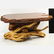 Quality Wood Root Base Coffee Table Polished Wood Top