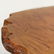 Quality Wood Root Base Coffee Table Polished Wood Top - 4