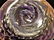 Quality Art Glass Perfume Bottle Purple Lavender Signed - 9
