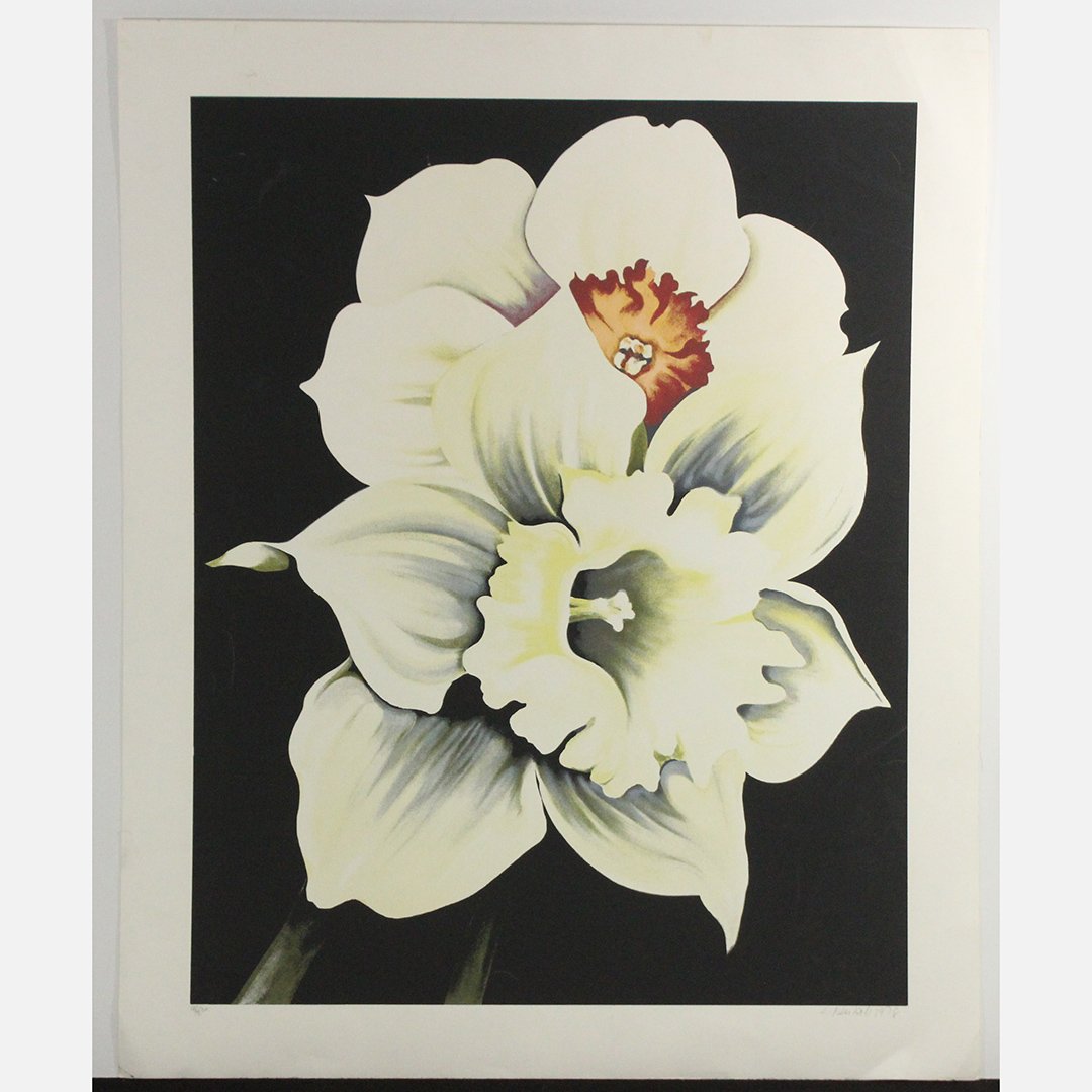 Lowell Nesbit, 20th C Modernist Lithograph White Flower (1 of 5)