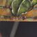 Tiffany Studios Poinsettia Lamp Signed Shade & Base - 8