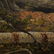 Asher Brown Durand, 1796-1886 NY / NJ; Oil/c Landscape - 6