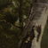 Asher Brown Durand, 1796-1886 NY / NJ; Oil/c Landscape - 7