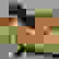 item-76252082=2