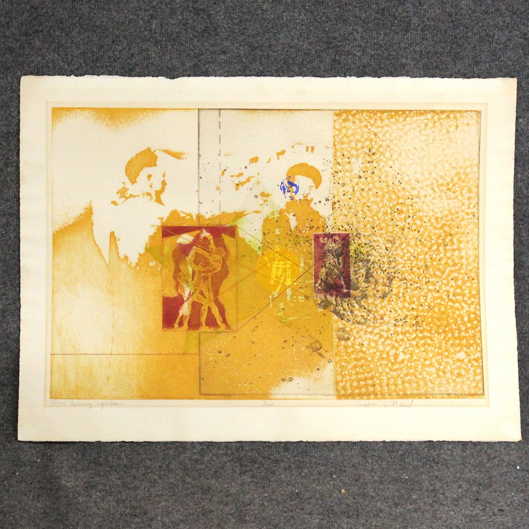 One Being Yellow by Daniel Freed 31/100 Lithograph: One Being Yellow by Daniel Freed 31/100 Lithograph Print Size: 17.5 x 25.5 , Updated listing 11/11/19 9:17am. Signed by artist in pencil bottom right.