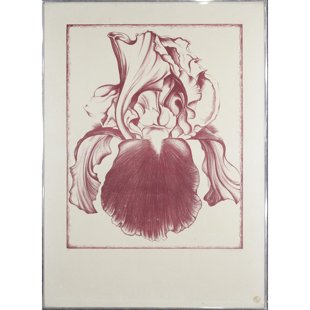 Lowell Nesbitt 1971 A/P Lithograph Maroon Iris (1 of 9)