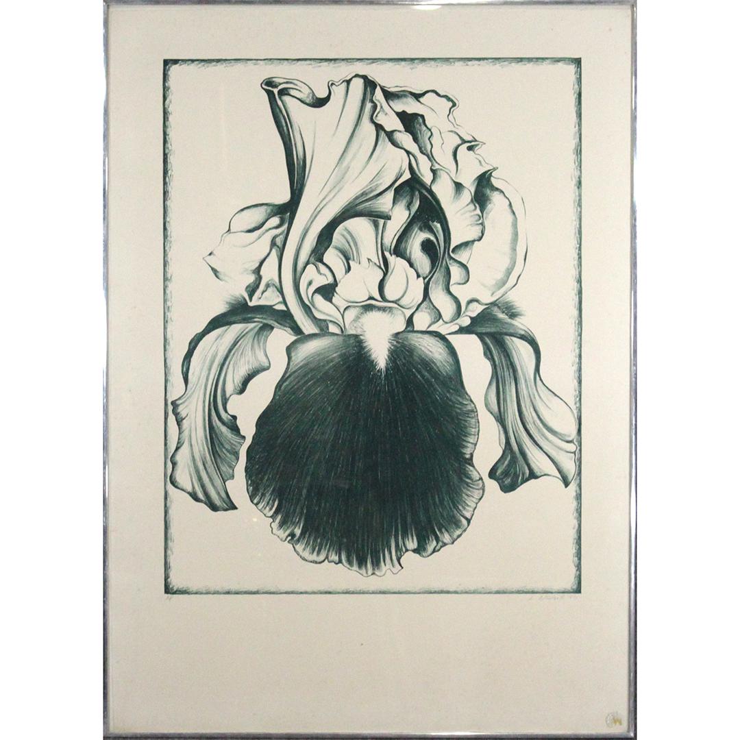 Lowell Nesbitt 1971 A/P Lithograph Green Iris (1 of 10)