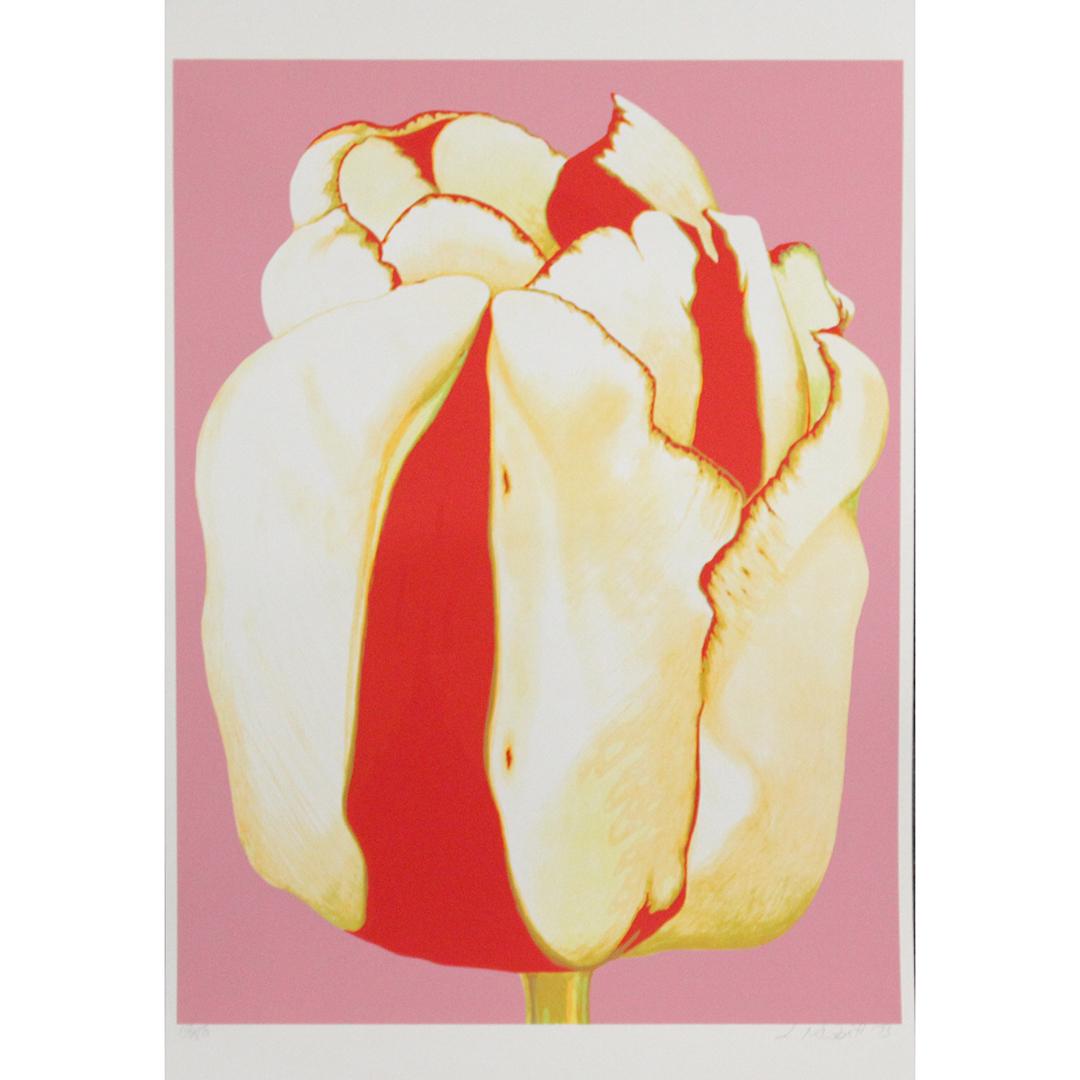 Lowell Nesbitt 1973 Color Lithograph #112 of 150 (1 of 6)