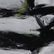 FRANZ KLINE attributed Mid Century Modern Abstract Oil. - 4