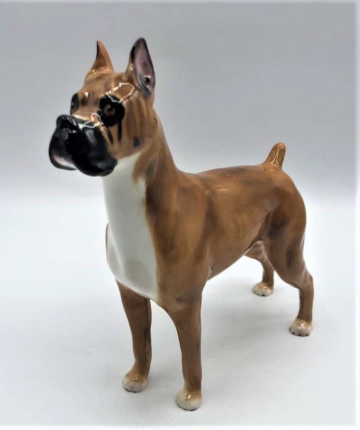 Royal Doulton Porcelain Boxer Dog, Warlord of Mazelaine: Royal Doulton Porcelain Boxer Dog, Warlord of Mazelaine. Signed on botton of feet. Size: 6.5 in. height, 6.5 in. length
