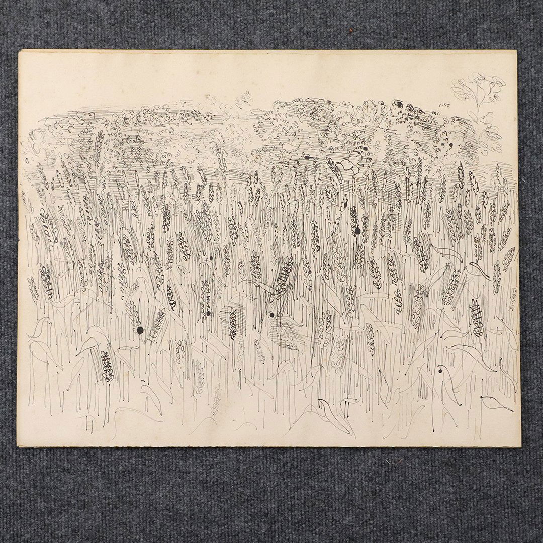 1933 Raoul Dufy Lithograph Wheatfield with Butterflies: 1933 Raoul Dufy Lithograph Wheatfield with Butterflies. Has numerous labels on verso including " Estate of Ben Shahn". Size: 16 in. x 20 in.