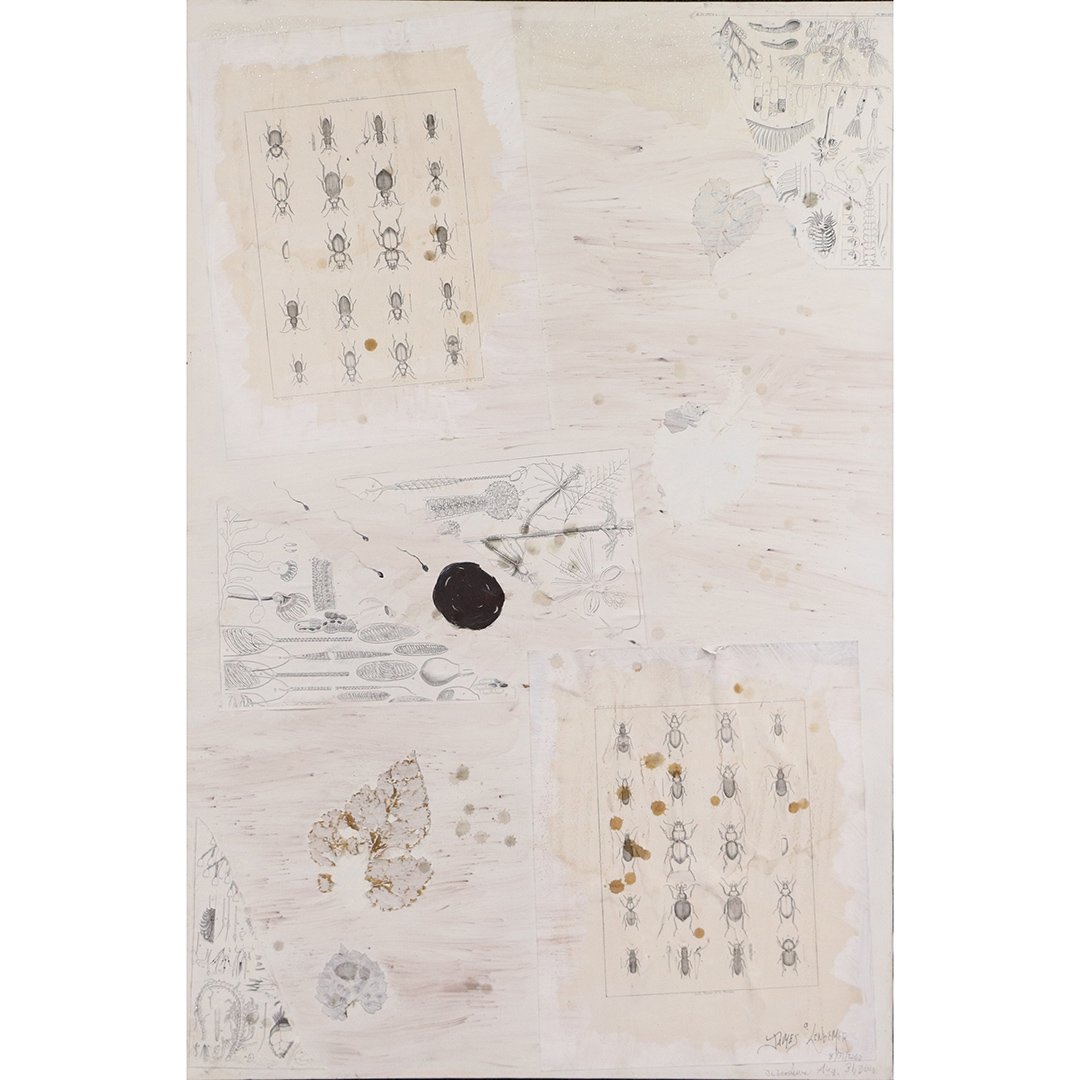 James Lenbemer Outsider Art Mixed Media Insects Collage: James Lenbemer Outsider Art Mixed Media Insects and Botnical Collage on canvas. Signed. Size: 36 in. x 24 in.