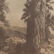 Edward Curtis Sepia Print Titled Andres Canon - 3