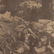 Edward Curtis Sepia Print Titled Andres Canon - 4