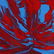 Pulgini, Mid-Century Modern Abstract Red on Blue O/b - 2