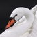 LENOX Fine Porcelain "The Graceful Swan" Figure - 3