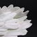 LENOX Fine Porcelain "The Graceful Swan" Figure - 4