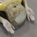 Pair Italian Glazed Pottery Whimsical Monkey Shelves - 13