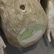 Pair Italian Glazed Pottery Whimsical Monkey Shelves - 6