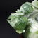 Chinese Green Jade Carved Sculpture Fish Bowl Teak Base - 3