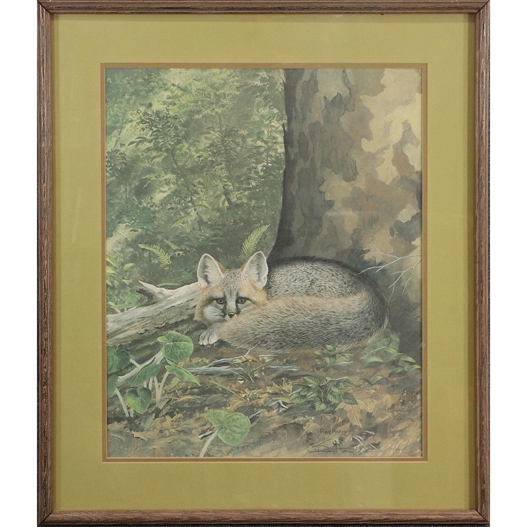 Ray Harm, Framed Print of a Silver Fox Signed in Plate (1 of 7)