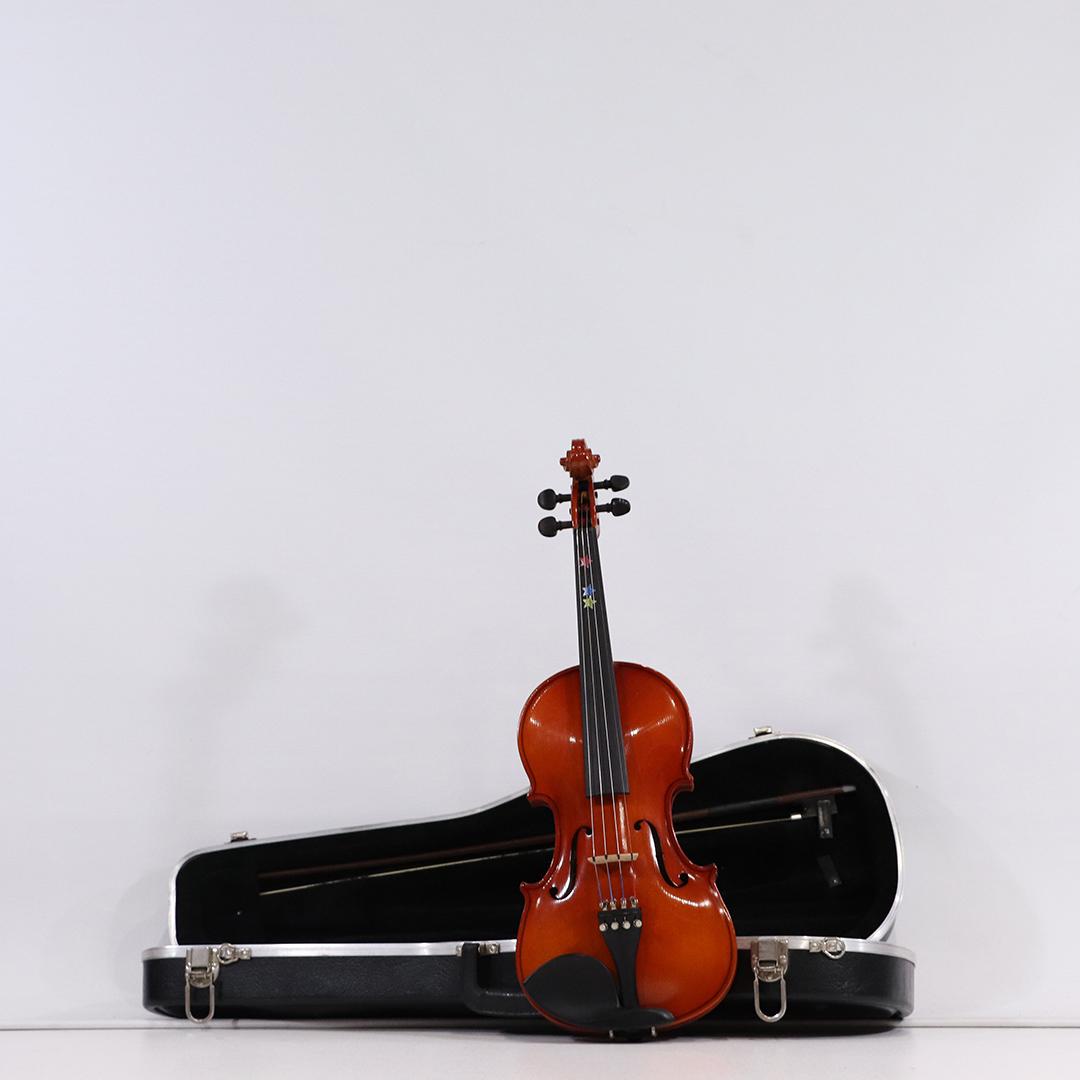 Scherl & Roth Violin in Case - Very Clean, with Bow (1 of 11)