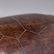 Hand Carved Teak Wood Turtle Figure Artist Signed MTF - 4