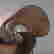 item-88447374=2