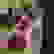item-101293333=3