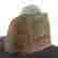 item-102880831=7
