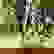 item-105853701=4