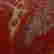 item-106770232=6