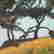 item-106823610=7